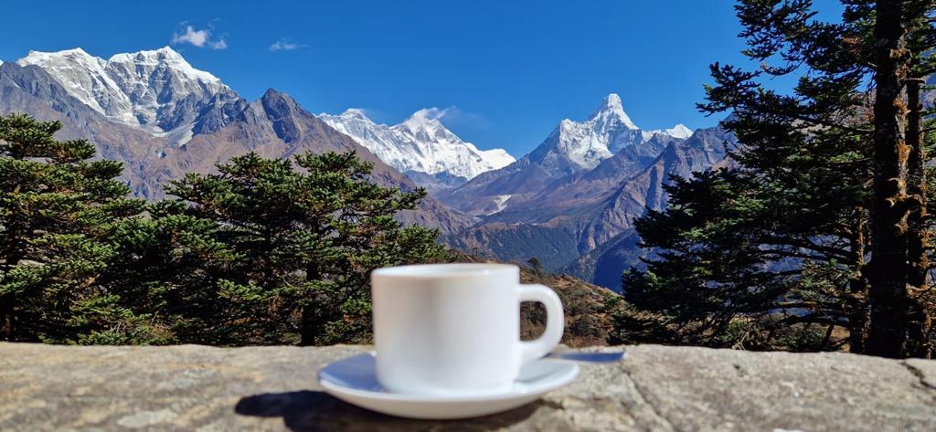 Winter Everest Panorama Trek